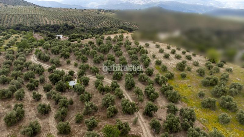 Foto d517731b-08e2-451b-9681-8fc414e6c206. Finca rústica a Barrio de Albaicín Granada