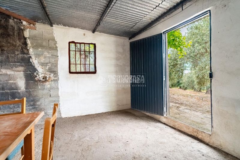 Foto e599f74f-8dec-4c2b-93da-e3a1d27f5346. Finca rústica a Barrio de Albaicín Granada