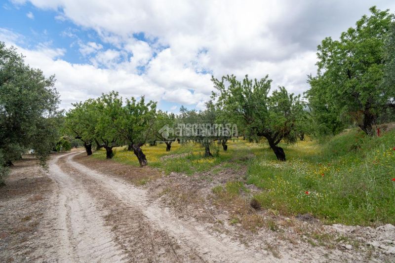 Foto fd695d0e-514a-4651-b374-ae022fd0aa02. Finca rústica a Barrio de Albaicín Granada