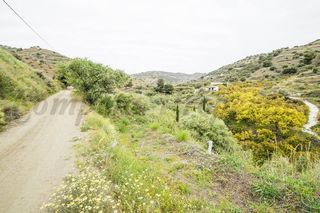 Finca rústica a Torrox Pueblo