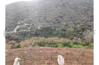 Finca rústica a Torrox Pueblo
