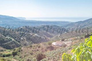 Finca rústica a Torrox Pueblo