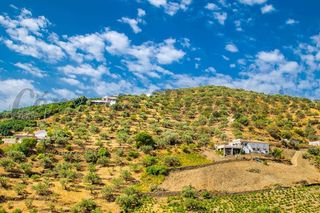 Finca rústica en Torrox Pueblo