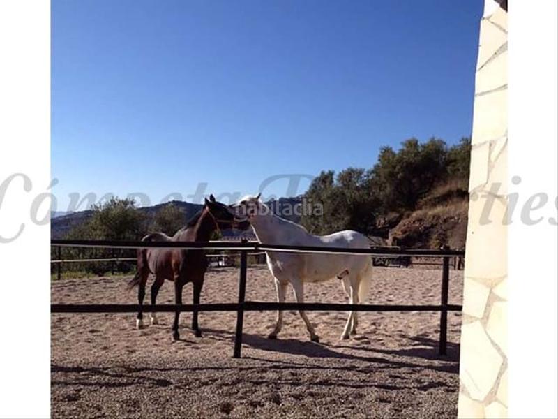 Foto f03548e9-eb60-45a2-bf65-f4a0db148e14. Terreny residencial a Sayalonga