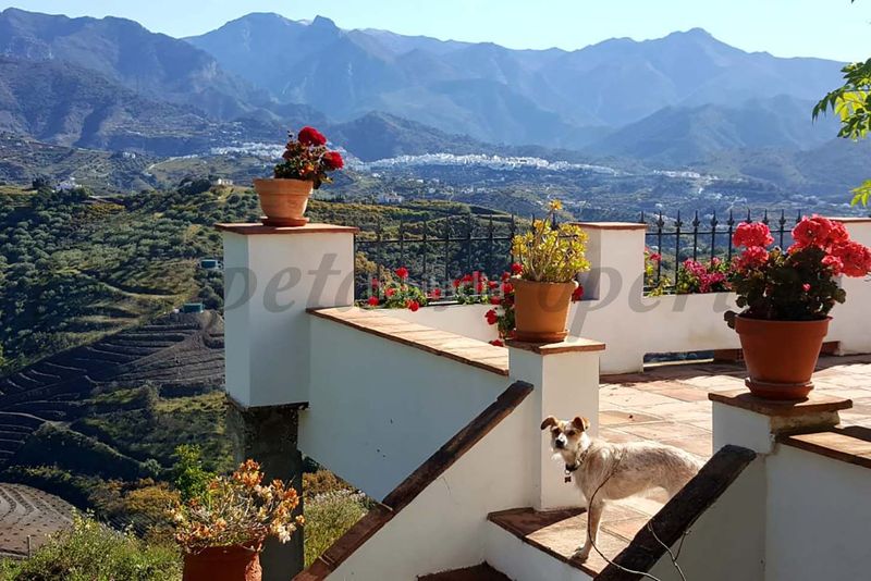 Foto 18a91582-2b02-4542-9dba-87088a889e26. Casa amb piscina a Torrox pueblo Torrox