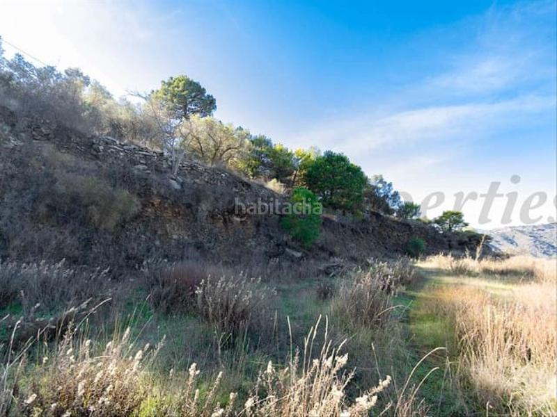 Foto 53ddf299-b1ff-408f-b6a3-d3ffb2e131f8. Residential plot in Torrox pueblo Torrox