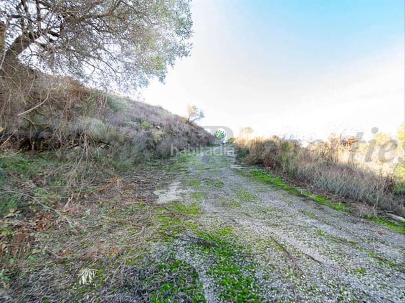Foto 82385892-85dc-46b4-b274-7c911c3bd12a. Terrain résidentiel dans Torrox pueblo Torrox