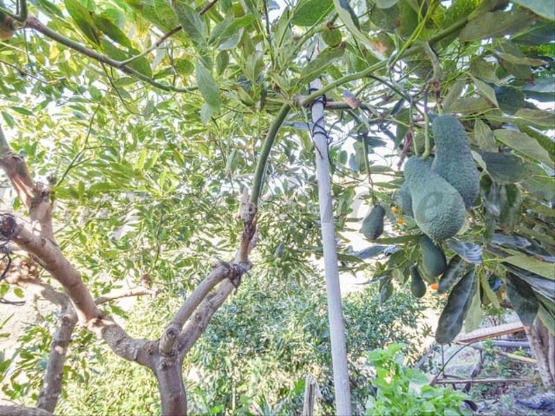 Foto 23c0fe63-9959-479b-b55f-9dfaaaa79ce5. Residential plot in Torrox pueblo Torrox