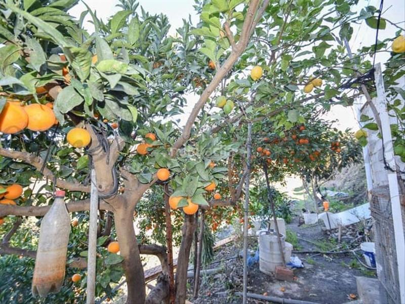 Foto 26bd7e15-cfc8-4ba8-bf33-5b4a1e2272c8. Residential plot in Torrox pueblo Torrox