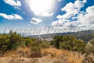 Finca rústica a Torrox Pueblo