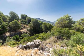 Landgut in Canillas de Albaida