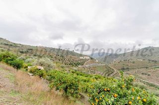 Finca rústica a Sayalonga