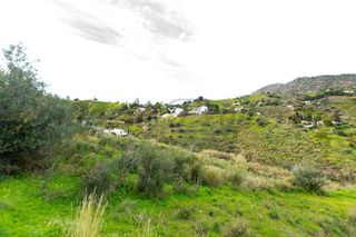 Fondo rustico in Torrox Pueblo