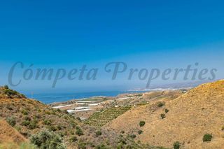 Fondo rustico in Torrox Pueblo