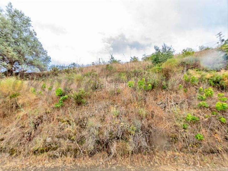 Foto 0b7bf5a6-e45e-492d-b866-34412127cc38. Terreno residencial en Torrox pueblo Torrox