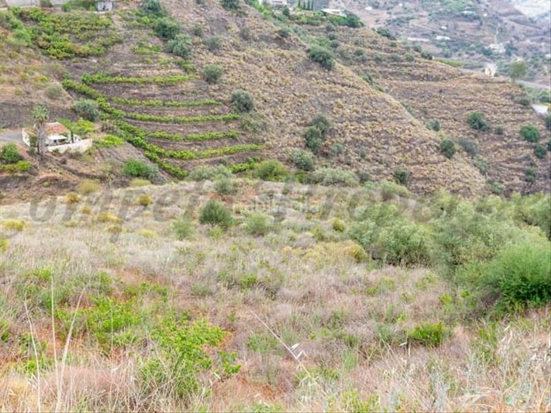 Foto 41db833b-dfde-45ba-bf3c-8c33ab5482ea. Terreno residencial en Torrox pueblo Torrox