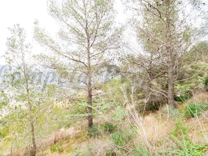 Foto 43481218-bfe2-428a-ace8-9d314ee8b2f2. Terreny residencial a Almuñecar centro Almuñécar