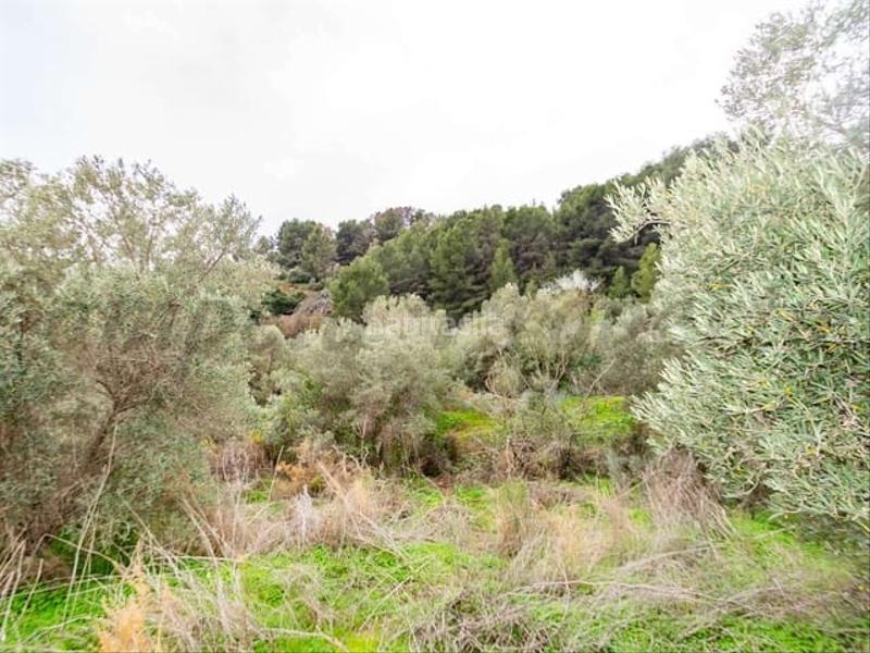 Foto e13417d5-00b8-4b95-8f3f-e6b7bc51edcd. Terreny residencial a Almuñecar centro Almuñécar