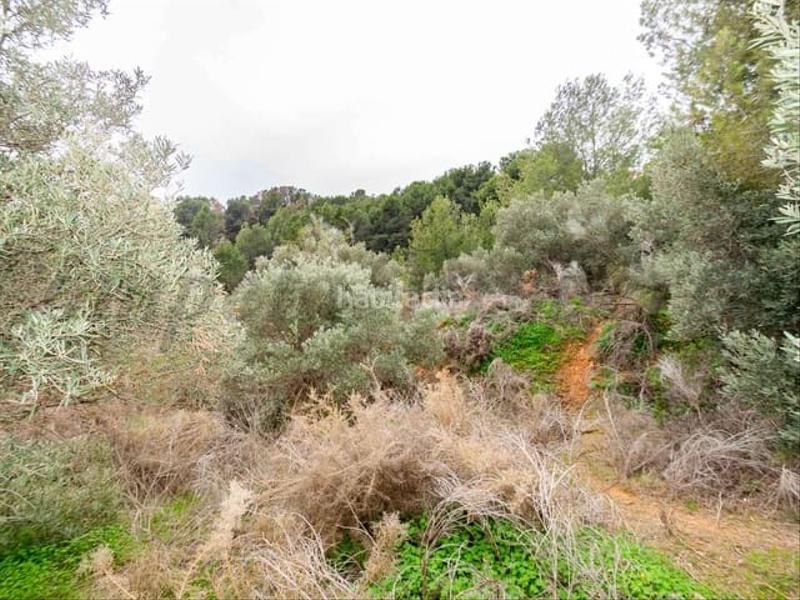 Foto eb2f74c7-19b6-42a9-a655-0ce5b385340a. Terreny residencial a Almuñecar centro Almuñécar