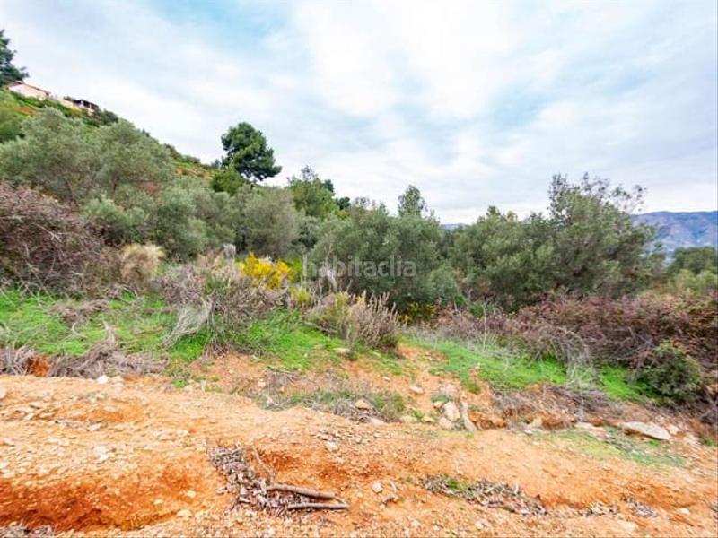 Foto 0adb6b2a-2c1e-4a27-a14c-11e1ba8690c1. Residential plot in Almuñecar centro Almuñécar