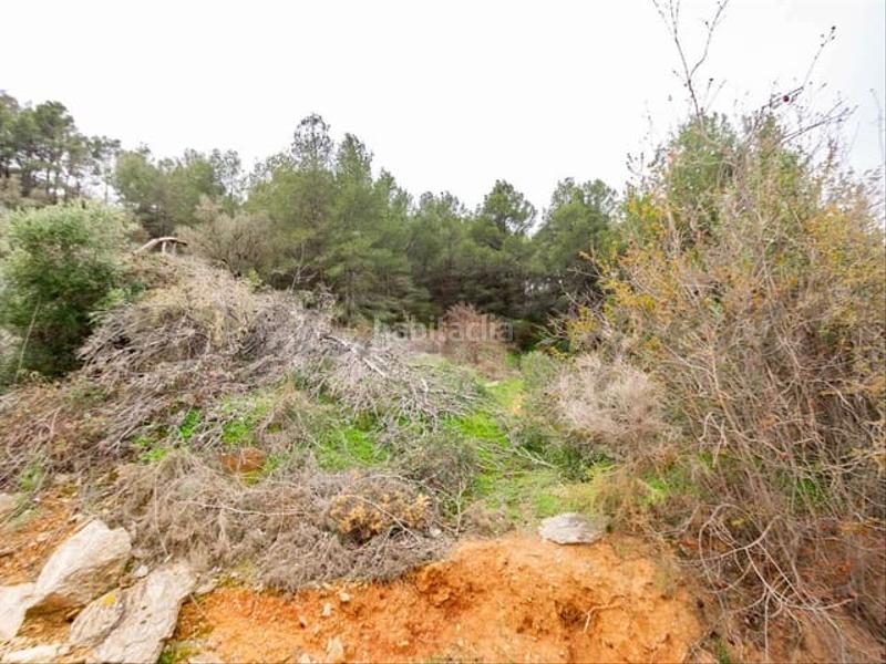 Foto 5668c8b2-b054-44b7-9eb6-f83a0075edd0. Residential plot in Almuñecar centro Almuñécar