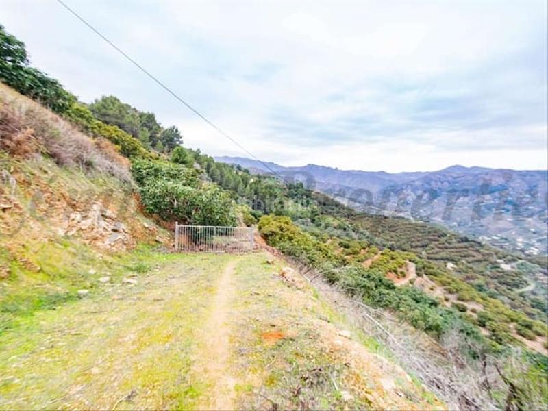 Foto 5e35814a-60d1-45b0-bdf8-6675b874b6ce. Residential plot in Almuñecar centro Almuñécar