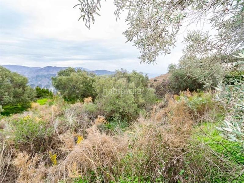 Foto e805d052-4f51-4826-8594-87eddc41504d. Residential plot in Almuñecar centro Almuñécar