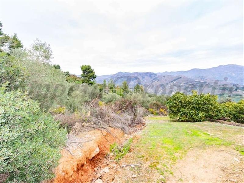 Foto ec162bd4-989f-4d07-ad24-a6ee0e9003ea. Residential plot in Almuñecar centro Almuñécar