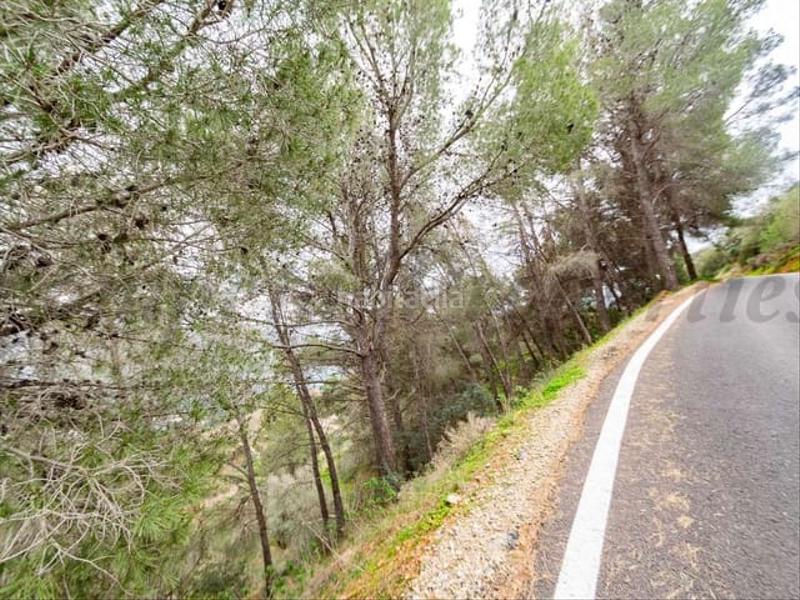 Foto fd186cc8-f6b8-4638-876c-650d6be11304. Residential plot in Almuñecar centro Almuñécar