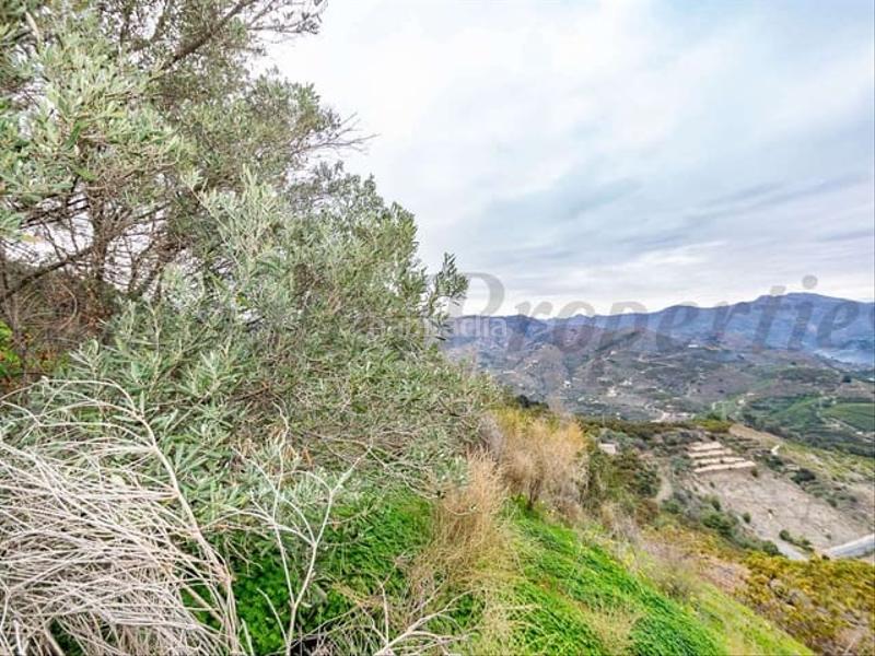 Foto 3396ddb9-7309-41cb-b7ad-afd32eccfa09. Terrain résidentiel dans Almuñecar centro Almuñécar