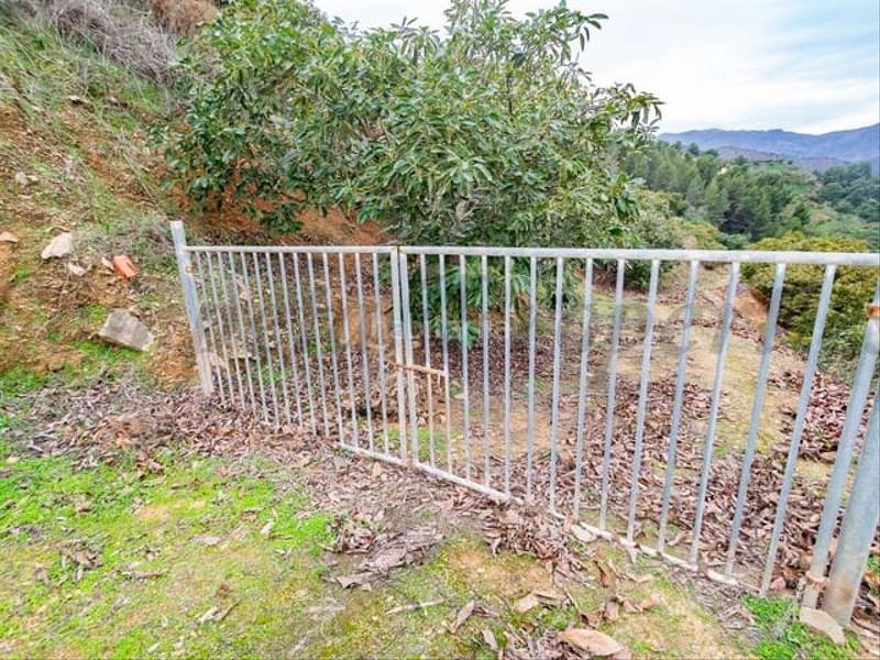 Foto 775a4c86-bb9d-40ee-8c64-1f977352a2e5. Terrain résidentiel dans Almuñecar centro Almuñécar