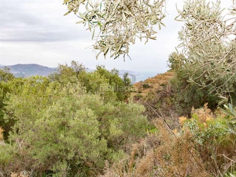 Foto 92c7972e-8bb2-4f88-b43f-216efaa05748. Terrain résidentiel dans Almuñecar centro Almuñécar