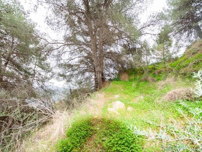 Foto 03132e72-1e36-44ed-aab8-ec52c6b2c176. Wohngrundstück in Almuñecar centro Almuñécar