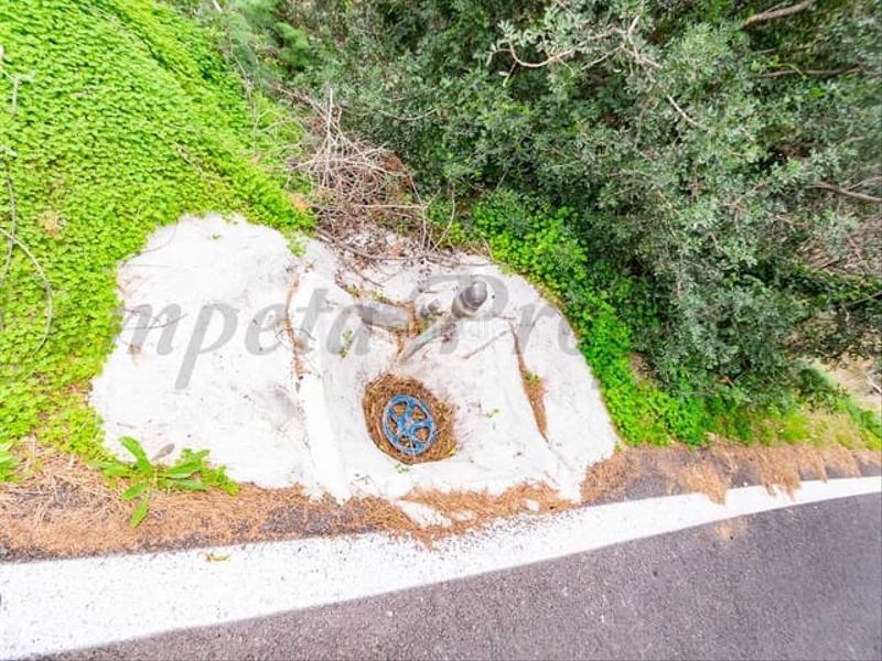 Foto f6b2dc61-a87b-4bea-9276-02765f7e51c2. Wohngrundstück in Almuñecar centro Almuñécar