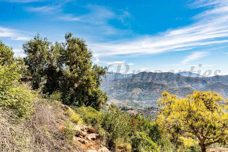 Foto f9b6cd5f-7dd7-4a64-a4ae-3d5ede58c875. Finca rústica a Almuñecar centro Almuñécar