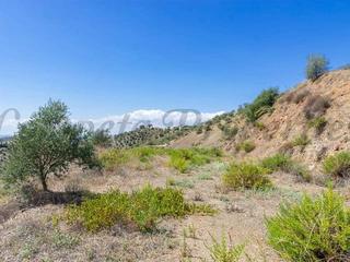 Residential Plot in Canillas de Albaida