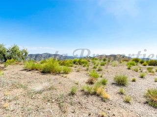 Residential Plot in Canillas de Albaida