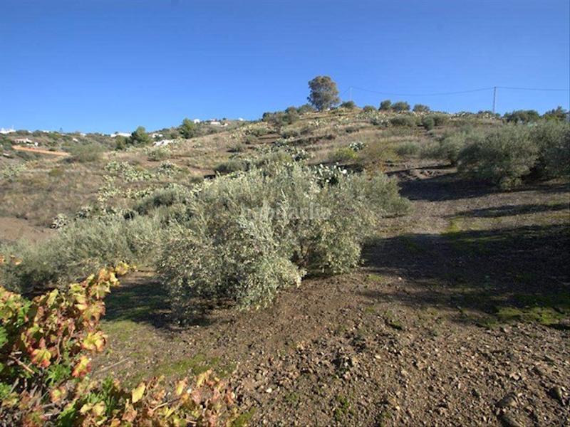 Foto 2ad31035-5207-4822-a11e-4a543509ef6e. Terreno residencial en Torrox pueblo Torrox