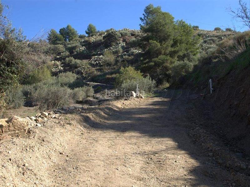 Foto 4596dcf9-3735-4307-9a65-880a2ae39ee0. Terreno residencial en Torrox pueblo Torrox