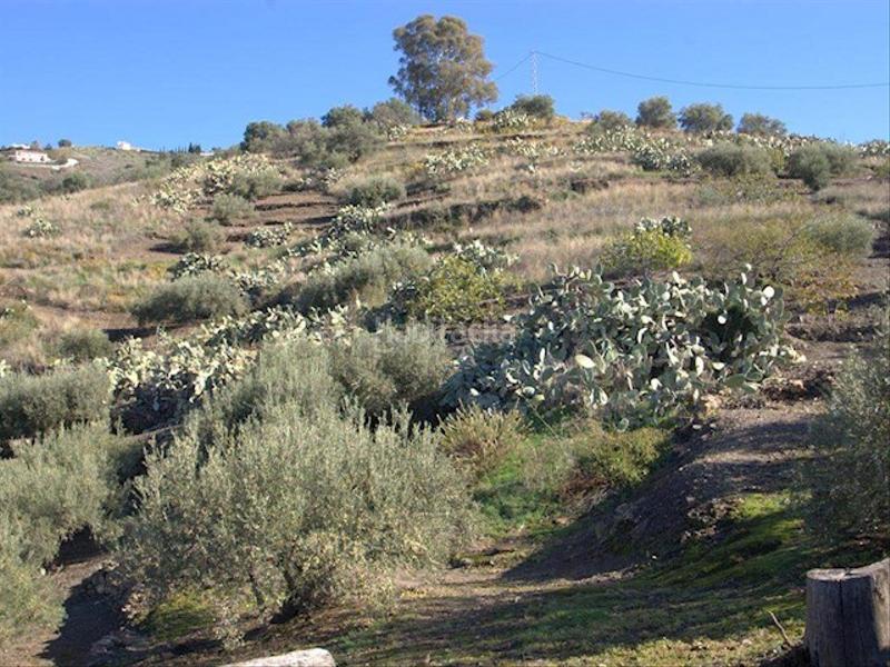 Foto 593ccb59-56b8-441a-9b3b-2d4a1e49f5e0. Terreno residencial en Torrox pueblo Torrox