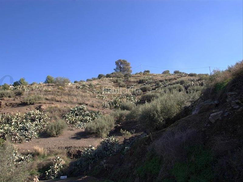Foto ff528516-ed17-4ef0-8760-1152f537c36c. Terreno residencial en Torrox pueblo Torrox