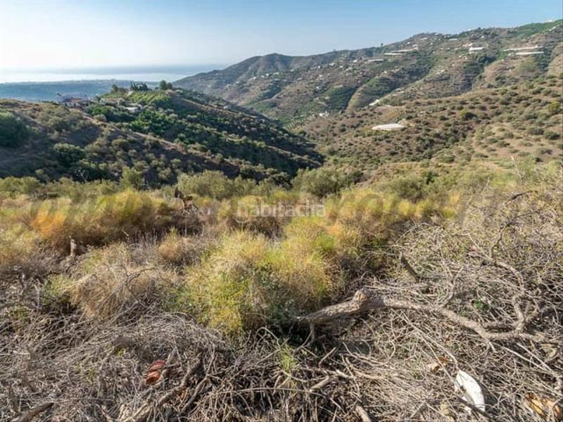 Foto 7b7ae0cf-60a3-4cd6-8c18-95e2f2e52192. Terreno residencial en Torrox pueblo Torrox