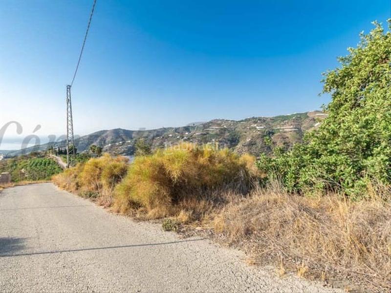 Foto 9fa620fa-b225-4762-b4fa-09feb5a9a8dd. Terreno residencial en Torrox pueblo Torrox