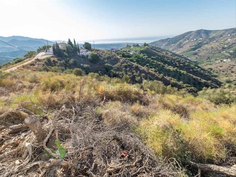 Foto aae6acbc-6564-4b78-a2c7-c1f8c5f16974. Terreno residencial en Torrox pueblo Torrox