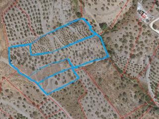 Residential Plot in Canillas de Albaida