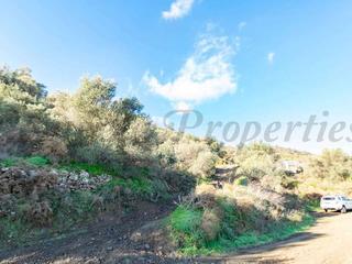 Terreny residencial a Torrox Pueblo