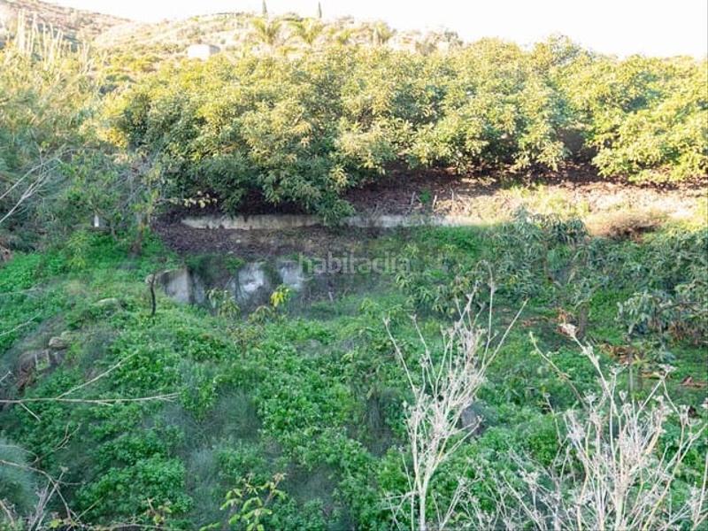 Foto a8378fb8-a58e-4f15-9769-897ff4aa4dcc. Terreno residenziale in Torrox pueblo Torrox