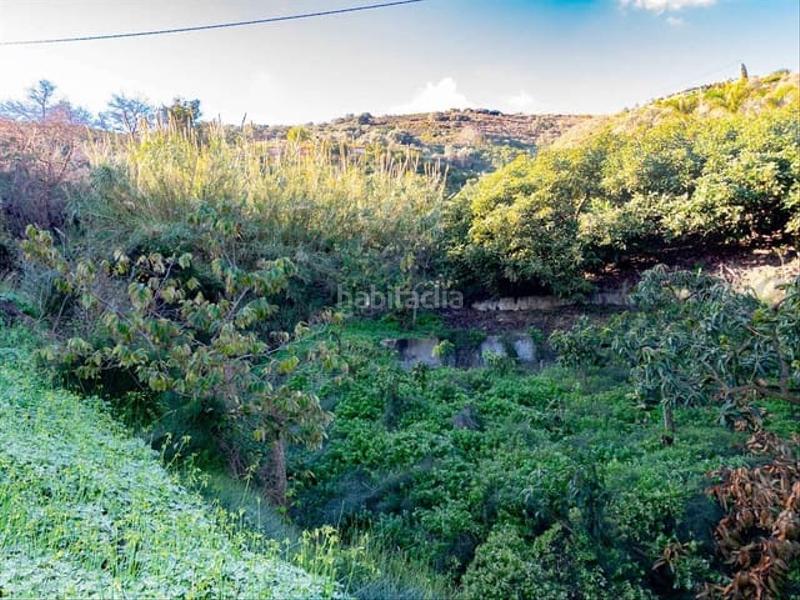 Foto 034f355c-1157-4ab0-bcd8-2c2b043f096d. Terreny residencial a Torrox pueblo Torrox