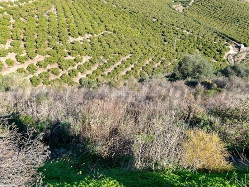 Foto 6992c47b-c84b-40ae-aa13-a377395f97dd. Terreny residencial a Torrox pueblo Torrox