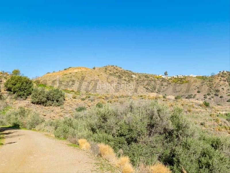 Foto c15d2298-6237-4116-812b-f83bea53c962. Terreny residencial a Torrox pueblo Torrox